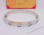 Cartier Love bracelet Stainless Steel Bracelet with screwdriver